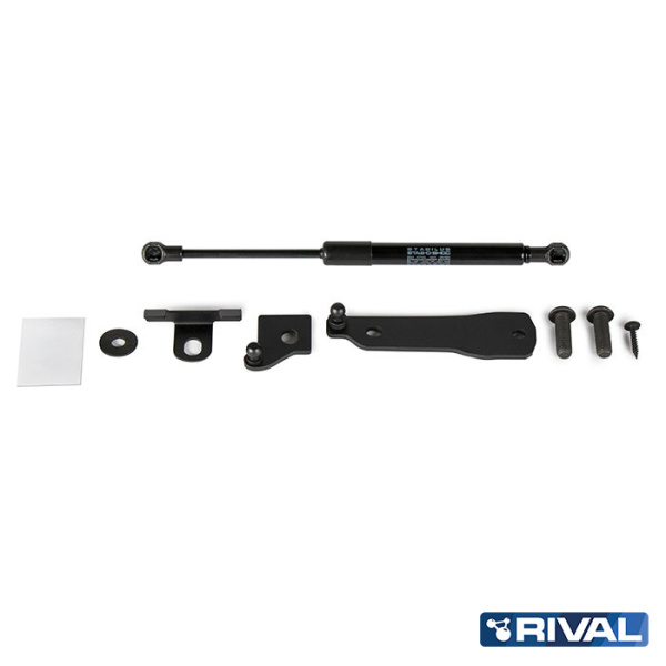 Jeu De 2 Vérins De Hayon Pour Citroën C4 Phase 2 (2010-2016) - Entraxe 490mm, Course 200mm